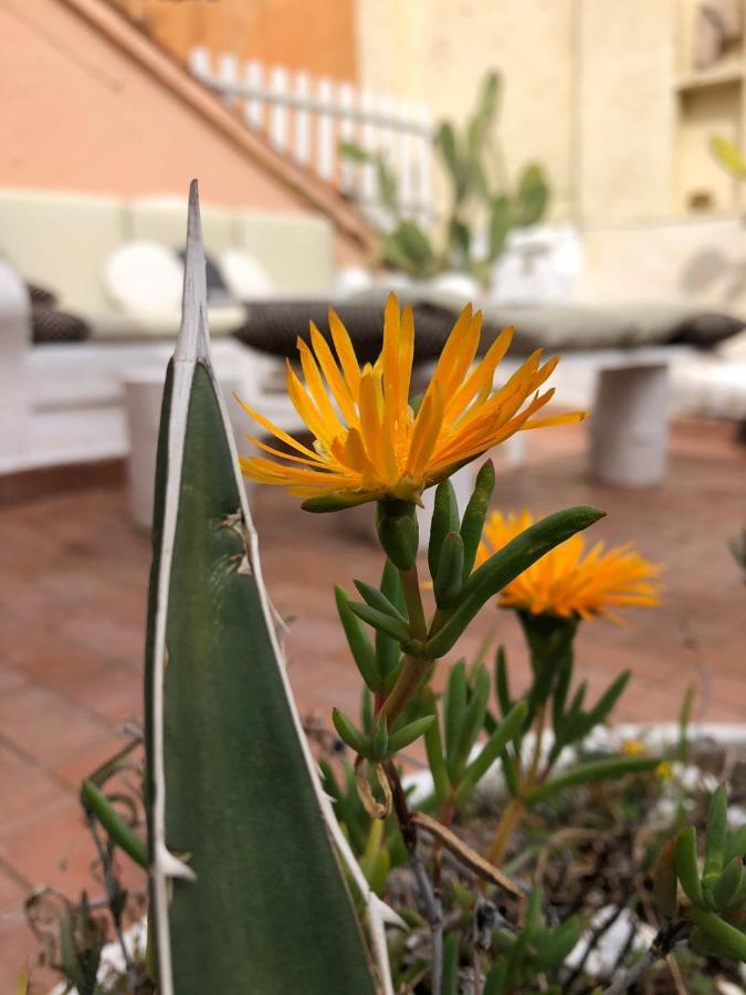 Navona Sunshine Big Terrace * Rom